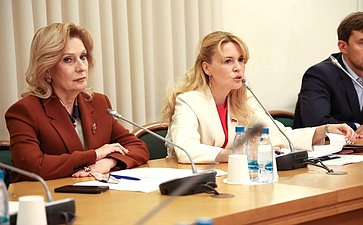 Сенаторы обсудили успешные практики и предложения по развитию НКО
