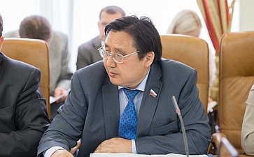А. Акимов Заседание Комитета Совета Федерации по федеративному устройству, региональной политике, местному самоуправлению и делам Севера