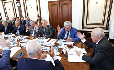 Заседание Комитета Совета Федерации по обороне и безопасности
