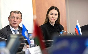 Заседание Постоянной комиссии ПА ОДКБ по социально-экономическим и правовым вопросам
