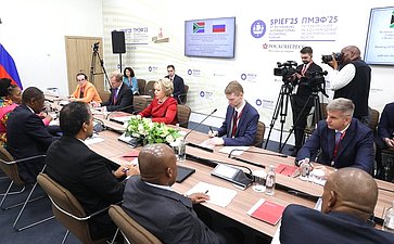 Встреча Председателя Совета Федерации Валентины Матвиенко с Вице-президентом ЮАР