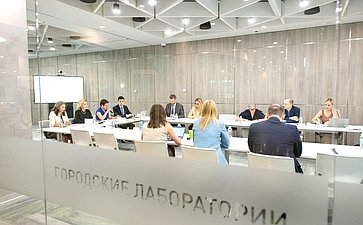 Заместитель Председателя СФ Инна Святенко провела первое очное заседание рабочей группы «Социальные проекты» Экспертного совета Агентства стратегических инициатив