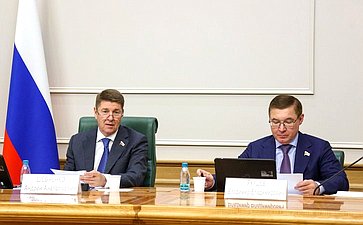 Заседание Комитета Совете Федерации по федеративному устройству, региональной политике, местному самоуправлению и делам Севера