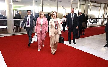 Делегация Совета Федерации принимает участие в 11-м Парламентском форуме БРИКС в Бразилии