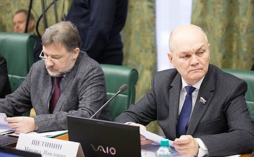 М. Щетинин Заседание Комитета Совета Федерации по экономической политике