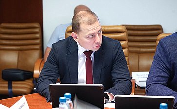 Совещание Комитета СФ по Регламенту и организации парламентской деятельности «Профессиональная этика в деятельности должностных лиц органов публичной власти»
