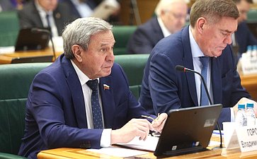 Владимир Городецкий