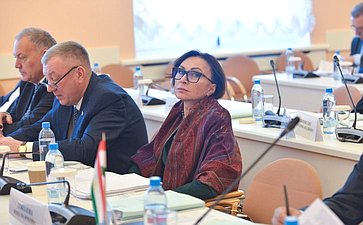 Заседание Объединенной комиссии при МПА СНГ по гармонизации законодательства в сфере безопасности и противодействия новым вызовам и угрозам