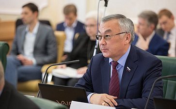 Б. Жамсуев на заседании Комитета СФ по бюджету и финансовым рынкам