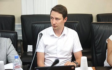Заседание секции «Обеспечения технологического суверенитета и информационной безопасности РФ» Совета по развитию цифровой экономики при СФ