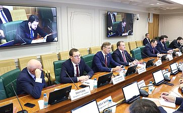 Заседание Комитета Совета Федерации по экономической политике на тему «О мерах по обеспечению безопасности воздушных перевозок на территории РФ»