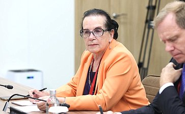 Встреча Председателя Совета Федерации Валентины Матвиенко с Вице-президентом ЮАР