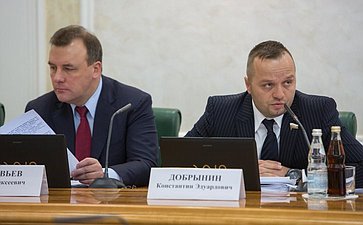 К. Добрынин Заседание Комитета Совета Федерации по конституционному законодательству и государственному строительству