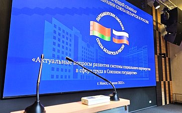 Елена Афанасьева приняла участие в пленарном заседании постоянно действующего семинара при Парламентском Собрании Союза Беларуси и России по вопросам строительства Союзного государства