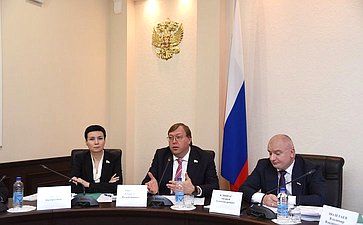 Ирина Рукавишникова выступила на выездном заседании Комитета СФ по конституционному законодательству и государственному строительству