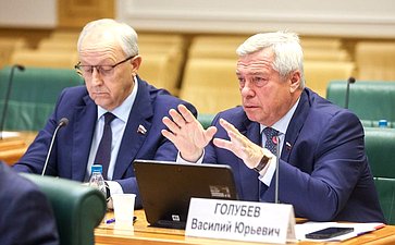 Заседание Комитета СФ по федеративному устройству, региональной политике, местному самоуправлению и делам Севера