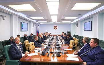 Совещание Комитета Совета Федерации по экономической политике на тему «Вопросы поставок отечественной авиационной техники для российских авиаперевозчиков»