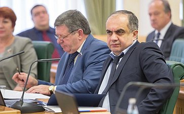 М. Суюнчев Заседание Комитета СФ по бюджету и финансовым рынкам