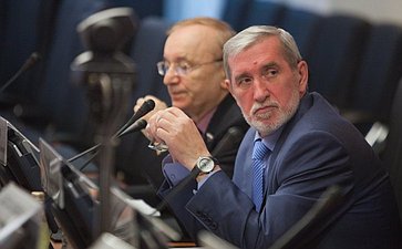 А. Ермаков Заседание Комитета СФ по федеративному устройству, региональной политике, местному самоуправлению и делам Севера 2