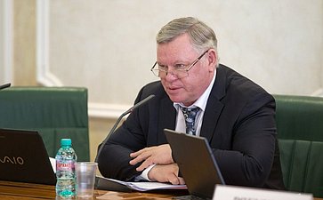 В. Петров выступил на заседании Комитета СФ по бюджету и финансовым рынкам