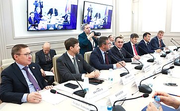 Заседание Комитета Совета Федерации по конституционному законодательству и государственному строительству