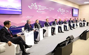 Сессия «Электроэнергия для развития Дальнего Востока». X Восточный экономический форум