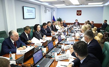 Заседание Комитета Совета Федерации по социальной политике