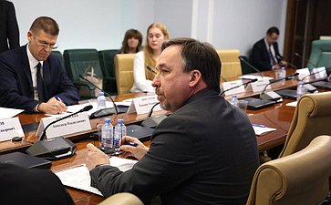 Расширенное заседание временной рабочей группы Комиссии СФ по защите государственного суверенитета и предотвращению вмешательства во внутренние дела РФ