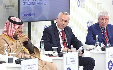 XXVIII Петербургский международный экономический форум (ПМЭФ’25). «Взгляд в будущее государственного аудита: приоритеты развития»