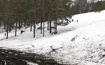 Татьяна Гигель в ходе рабочей поездки по региону побывала в урочище Верх-Байгабак Чемальского района