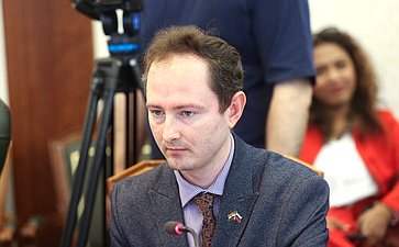 Встреча первого заместителя председателя Комитета СФ по международным делам Андрея Денисова с делегацией Республики Индии во главе с членом Народной палаты парламента Каниможи Карунанидхи