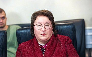 Совещание Комитета Совета Федерации по Регламенту и организации парламентской деятельности «Выборы в 2025 году и общественный контроль за голосованием»