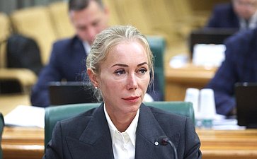 Заседание экспертно-консультативного совета при Комитете Совета Федерации по конституционному законодательству и государственному строительству