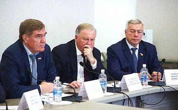 В Ростове-на-Дону состоялось выездное заседание комиссии Совета Федерации по мониторингу законодательства в сфере государственного контроля (надзора) и муниципального контроля