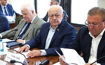 Заседание Комитета Совета Федерации по обороне и безопасности