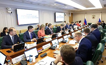 Заседание Комитета Совета Федерации по бюджету и финансовым рынкам