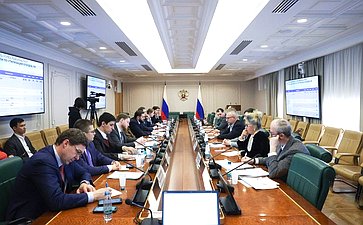 Совещание Комитета Совета Федерации по экономической политике по вопросам совершенствования механизмов расширенной ответственности производителей и импортеров товаров и упаковки
