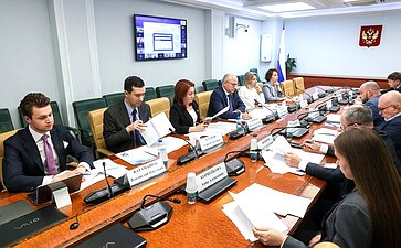 Круглый стол Комитета Совета Федерации по конституционному законодательству и государственному строительству на тему «Правовая помощь в Российской Федерации: развитие цифровых сервисов»