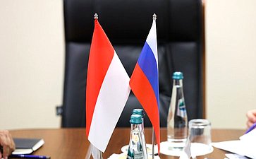 Встреча первого заместителя председателя Комитета СФ по науке, образованию и культуре Ильяса Умаханова с Чрезвычайным и Полномочным Послом Республики Индонезии в РФ Жозе Антонио Морато Таварешем