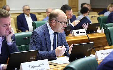 Заседание Комитета Совета Федерации по бюджету и финансовым рынкам