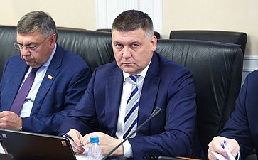 Круглый стол Комитета СФ по Регламенту и организации парламентской деятельности совместно с Комитетом СФ по экономической политике «Совершенствование законодательства Российской Федерации о государственном контроле (надзоре), муниципальном контроле»