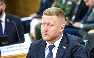 Заседание Палаты молодых законодателей при Совете Федерации