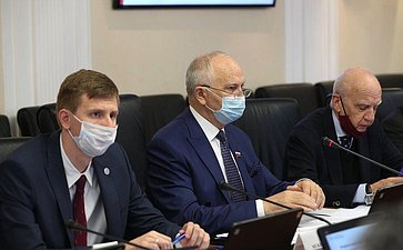 Встреча заместителя председателя Комитета СФ по международным делам Фарита Мухаметшина с представителями Группы стратегического видения «Россия-Исламский мир»