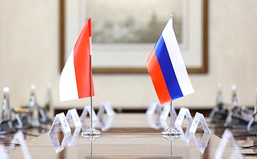 Валентина Матвиенко провела встречу с Председателем Совета представителей регионов Республики Индонезии Султаном Бактиаром Наджамундином