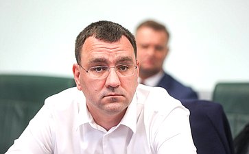 Совещание Комитета Совета Федерации по экономической политике «Импортонезависимость в сфере информационных технологий: лучшие практики разработки и использования российского программного обеспечения»