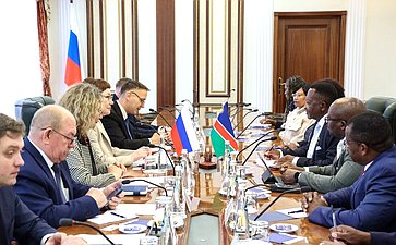 Елена Перминова встретилась с членом Постоянного комитета по вопросам государственной бюджетной отчетности и экономики Национального совета Намибии Абнером Шиконго