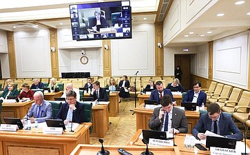Заседание экспертно-консультативного совета при Комитете Совета Федерации по конституционному законодательству и государственному строительству