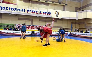 Николай Владимиров приветствовал юных самбистов на соревнованиях в Чувашии