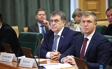 Расширенное заседание Комитета Совета Федерации по бюджету и финансовым рынкам