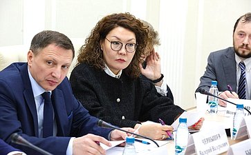 Совещание по подготовке визита Председателя Совета Федерации в Республику Армения